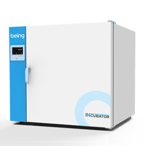 恒温培养箱--自然对流（触摸屏）