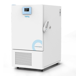 霉菌培养箱（触摸屏）