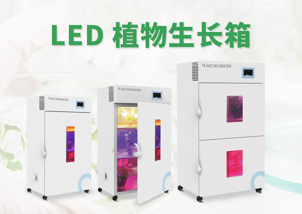 being重庆时时开彩官方网站-时时采彩计划软件-重庆时时开彩官网开奖查询-重庆时时开彩app下载-重庆时时采彩开奖号码走势图-重庆时时投注平台官网 植物生长箱