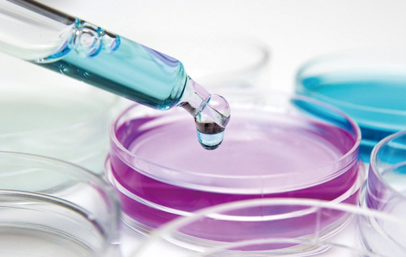 being 重庆时时开彩官方网站-时时采彩计划软件-重庆时时开彩官网开奖查询-重庆时时开彩app下载-重庆时时采彩开奖号码走势图-重庆时时投注平台官网实验