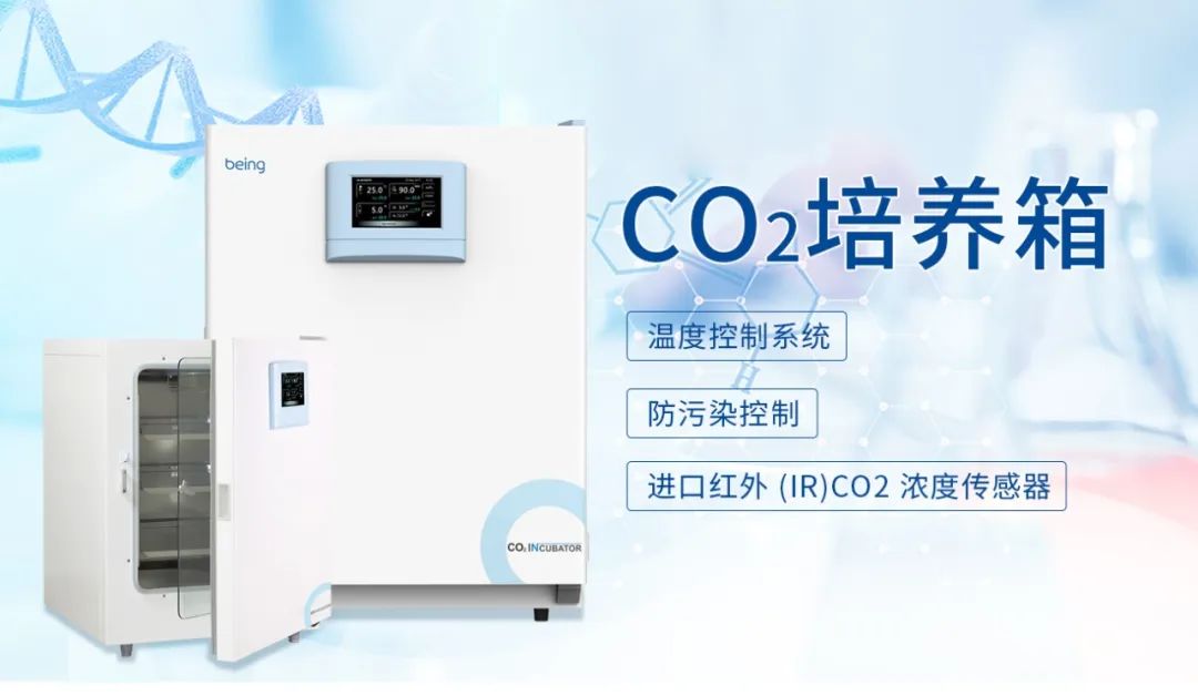 重庆时时开彩官方网站-时时采彩计划软件-重庆时时开彩官网开奖查询-重庆时时开彩app下载-重庆时时采彩开奖号码走势图-重庆时时投注平台官网CO2培养箱