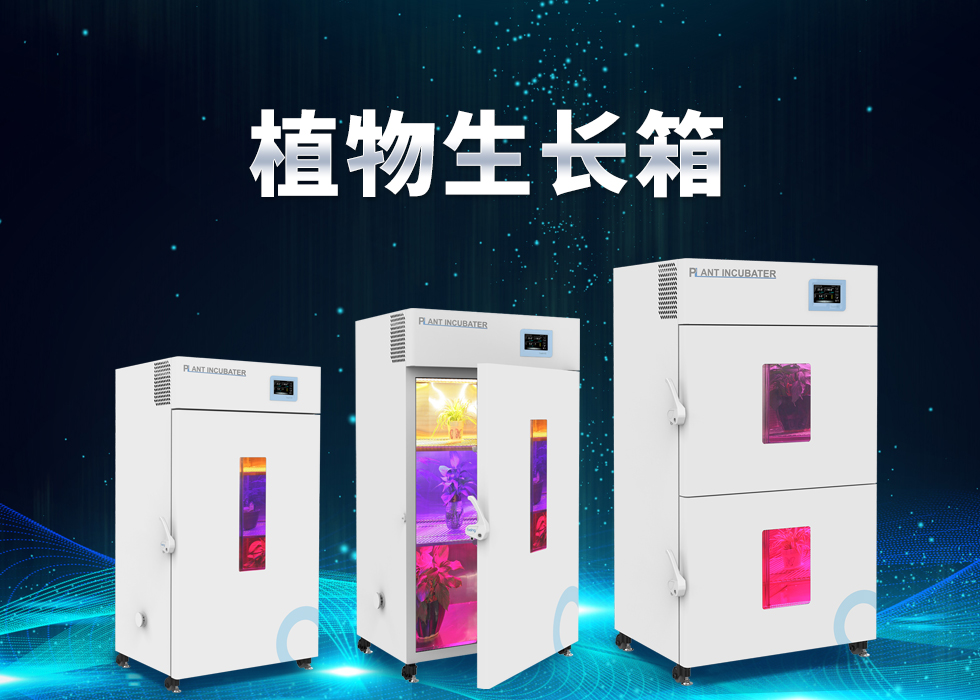 重庆时时开彩官方网站-时时采彩计划软件-重庆时时开彩官网开奖查询-重庆时时开彩app下载-重庆时时采彩开奖号码走势图-重庆时时投注平台官网植物生长箱