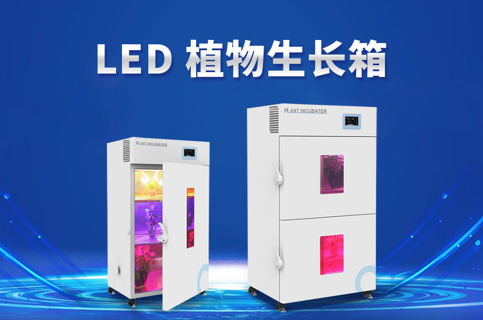 重庆时时开彩官方网站-时时采彩计划软件-重庆时时开彩官网开奖查询-重庆时时开彩app下载-重庆时时采彩开奖号码走势图-重庆时时投注平台官网 植物培养箱