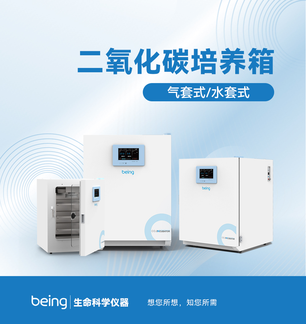 重庆时时开彩官方网站-时时采彩计划软件-重庆时时开彩官网开奖查询-重庆时时开彩app下载-重庆时时采彩开奖号码走势图-重庆时时投注平台官网CO2培养箱