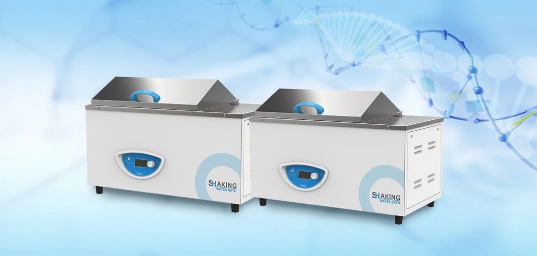 重庆时时开彩官方网站-时时采彩计划软件-重庆时时开彩官网开奖查询-重庆时时开彩app下载-重庆时时采彩开奖号码走势图-重庆时时投注平台官网恒温振荡水槽